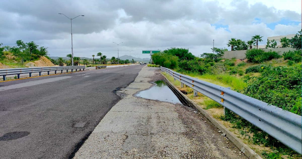 baches chileno