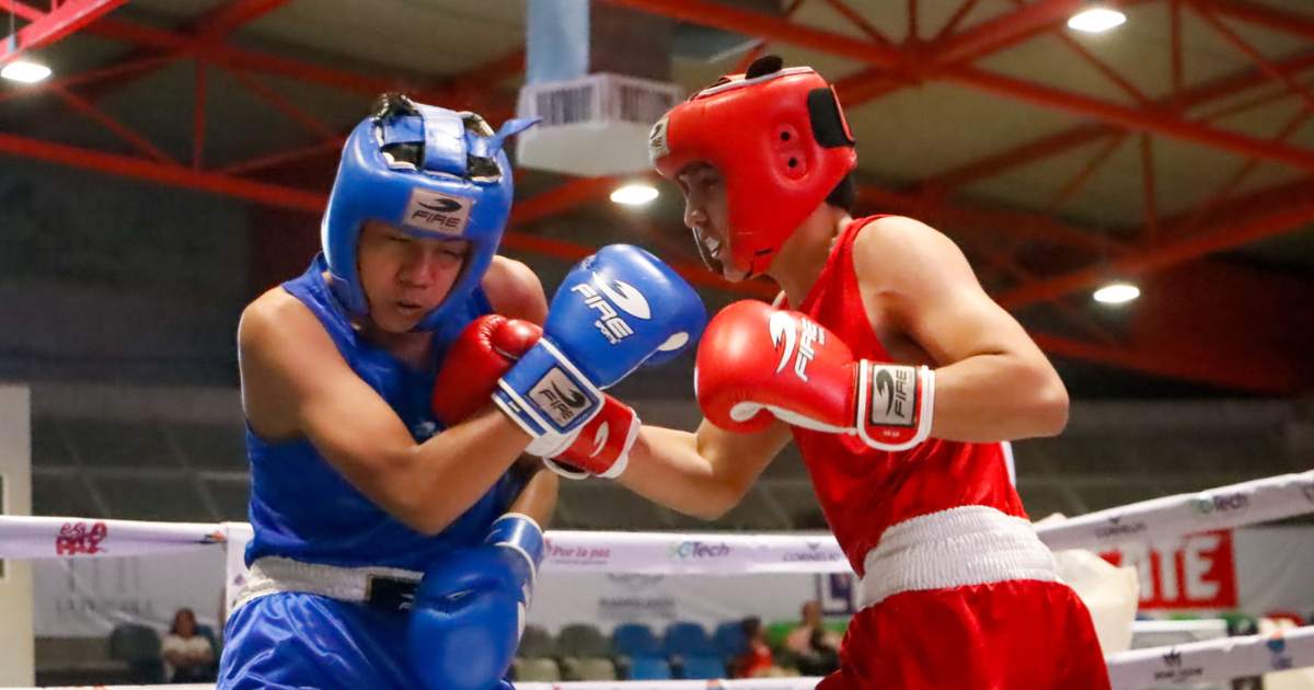 boxeo boxeador deporte