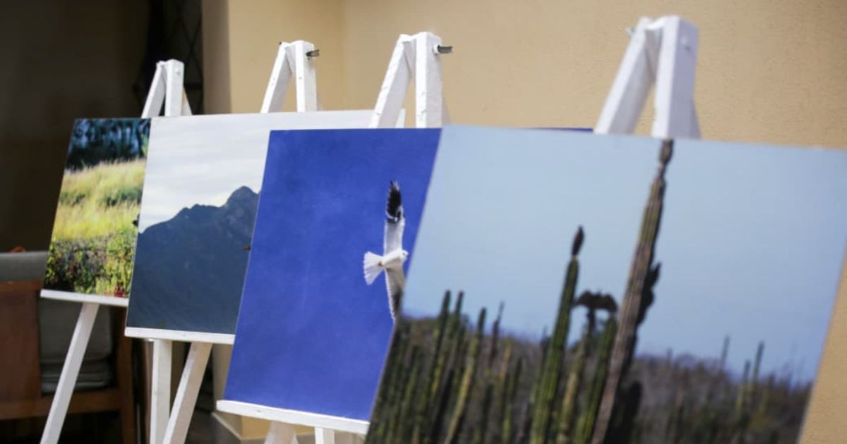 nombramiento-ciudad-de-las-aves-los-cabos